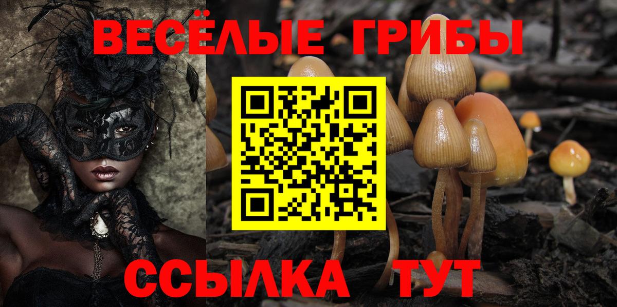 Псилоцибиновые грибы MAGIC MUSHROOMS Пенза