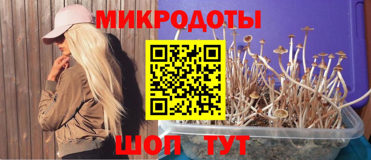 Галлюциногенные грибы Psilocybine cubensis  Вход с VPN  Пенза 